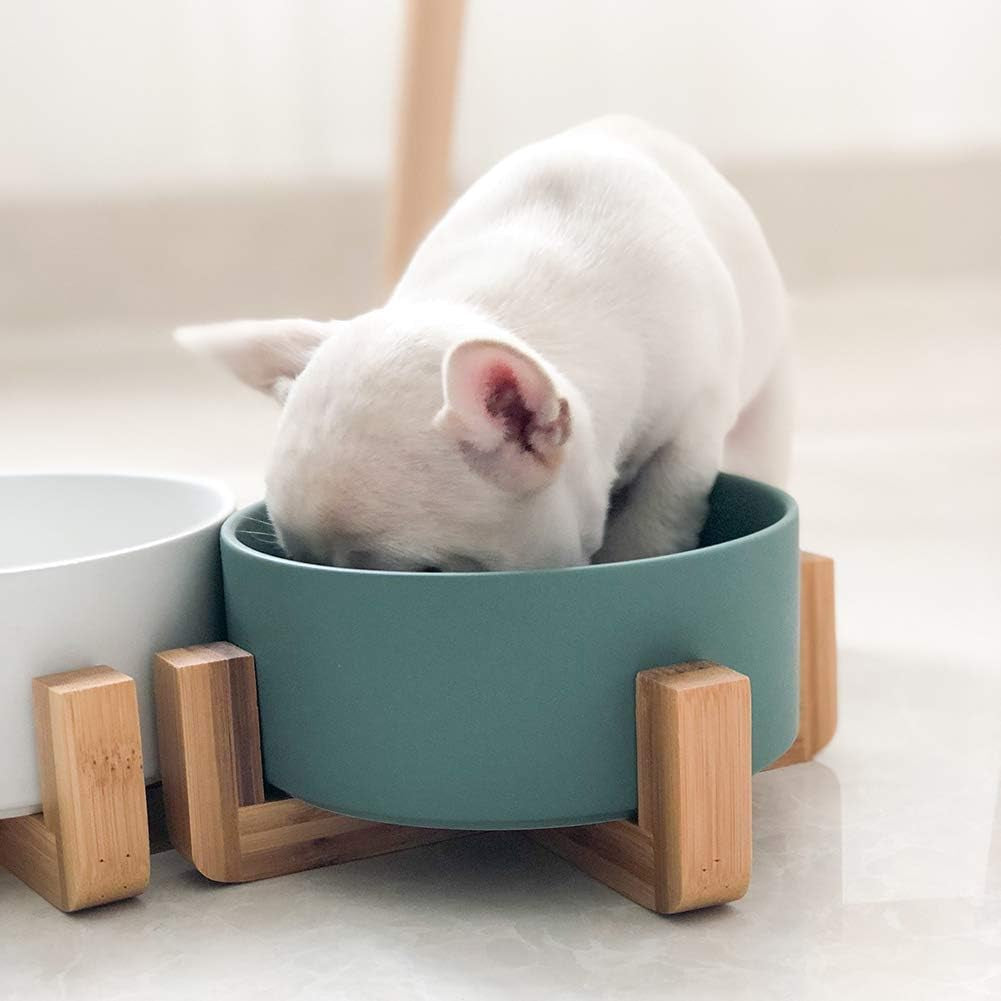 Green Ceramic Cat Bowl with Wood Stand No Spill Pet Food Water Feeder Cats Small Dogs
